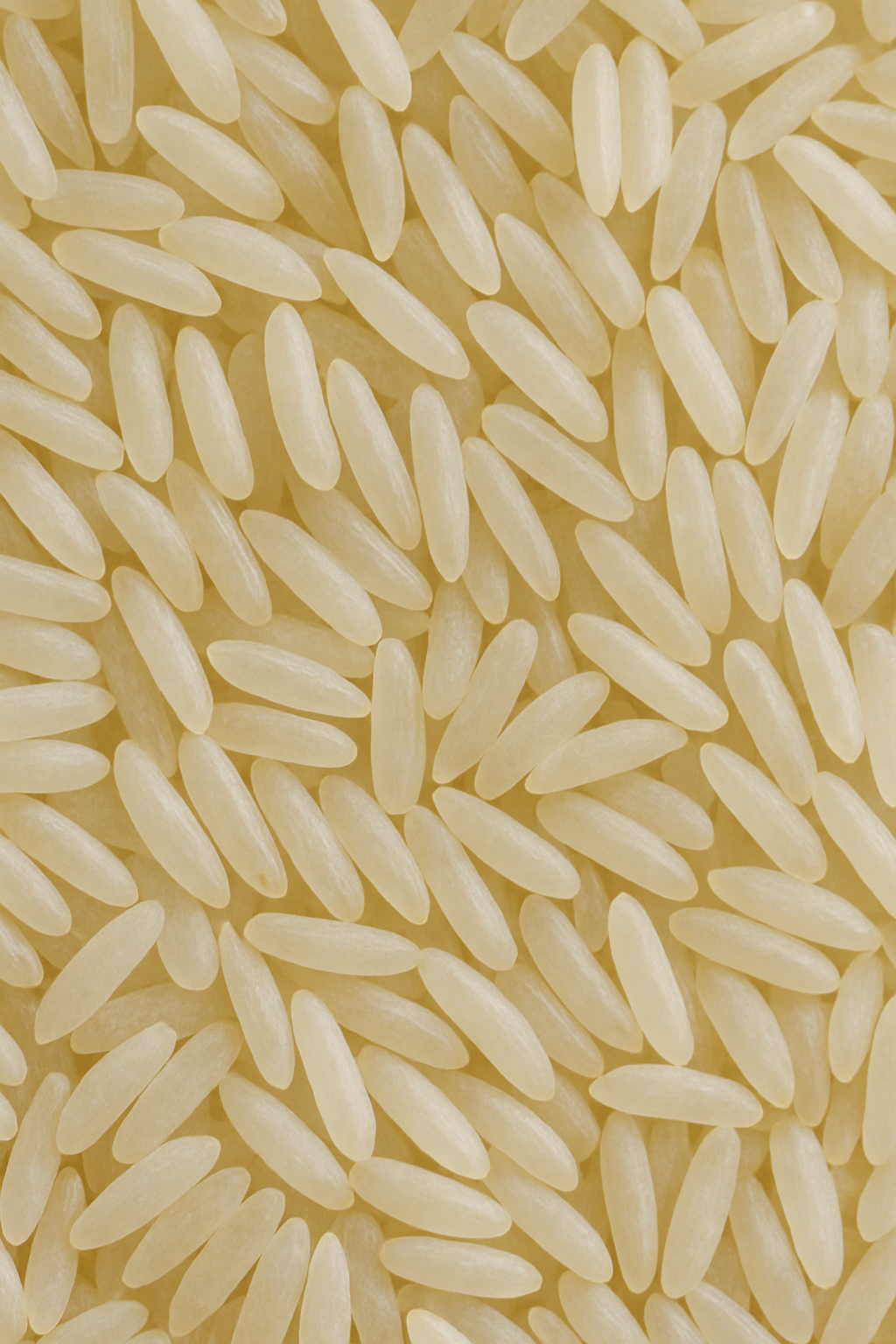 imagem de grãos arroz
